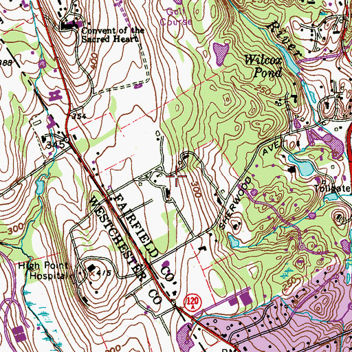 Topographic Map of Cheiftan Estate (historical), CT