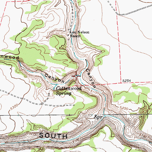 Topographic Map of Cottonwood Canyon, CO