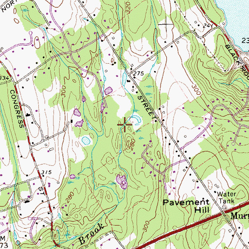 Topographic Map of Connecticut Audubon Society at Larsen Sanctuary, CT