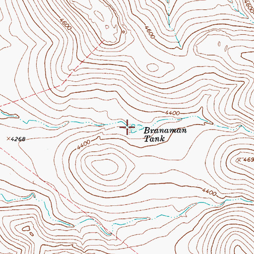 Topographic Map of Branaman Tank, AZ
