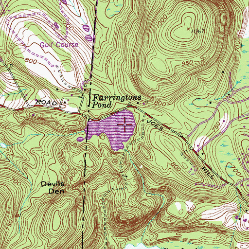 Topographic Map of Farringtons Park, CT