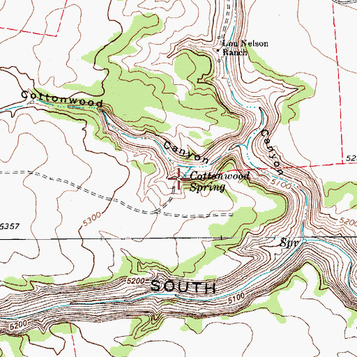 Topographic Map of Cottonwood Spring, CO
