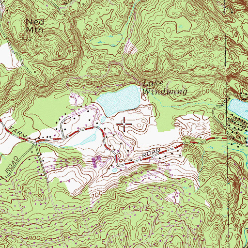Topographic Map of Fitzgerald Field, CT