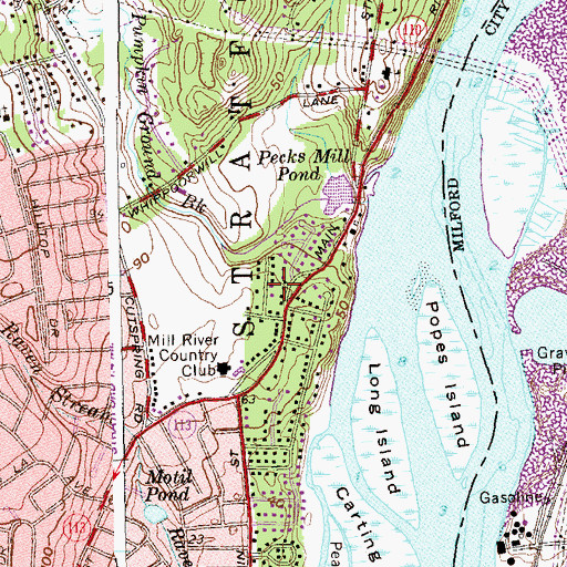 Topographic Map of Pecks Mill (historical), CT