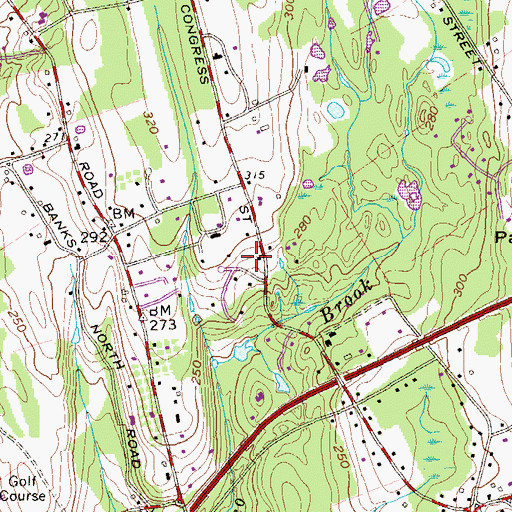 Topographic Map of Saint Timothy Episcopal Church, CT