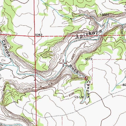 Topographic Map of Buck Canyon, CO