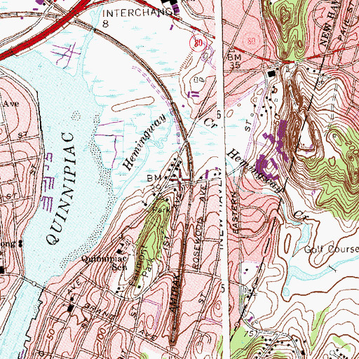 Topographic Map of Hemingway Town (historical), CT