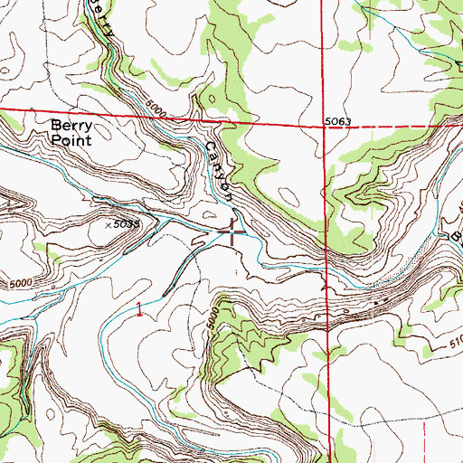 Topographic Map of Berry Canyon, CO