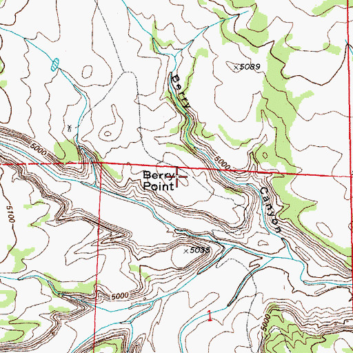 Topographic Map of Berry Point, CO