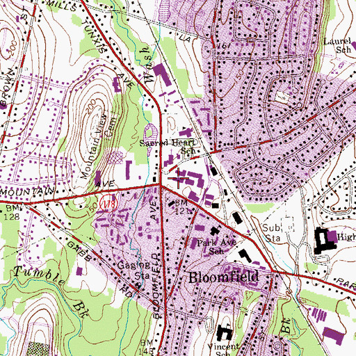 Topographic Map of Bloomfield Town Green, CT