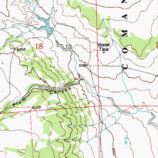 Topographic Map of Plum Canyon, CO
