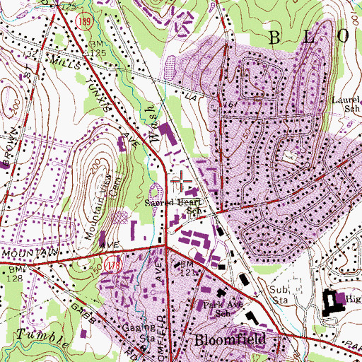 Topographic Map of Old Wintonbury Cemetery, CT