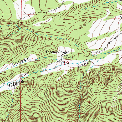 Topographic Map of Boiler Canyon, CO
