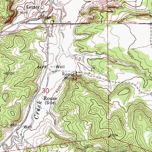 Topographic Map of Rouse Mine, CO