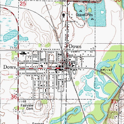 Topographic Map of Dows, IA