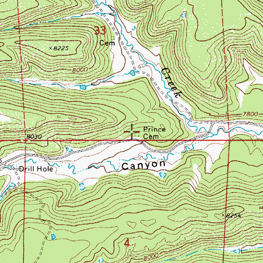 Topographic Map of Prince Cemetery, CO