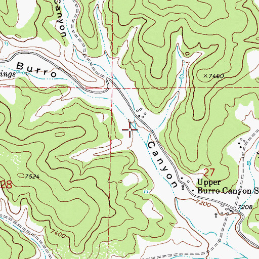 Topographic Map of Upper Burro Canyon, CO