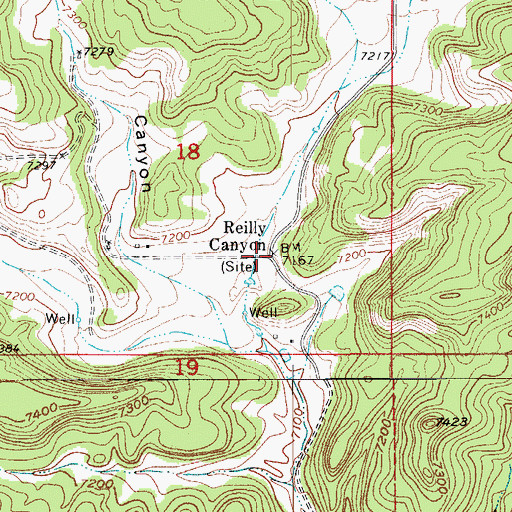 Topographic Map of Reilly Canyon, CO