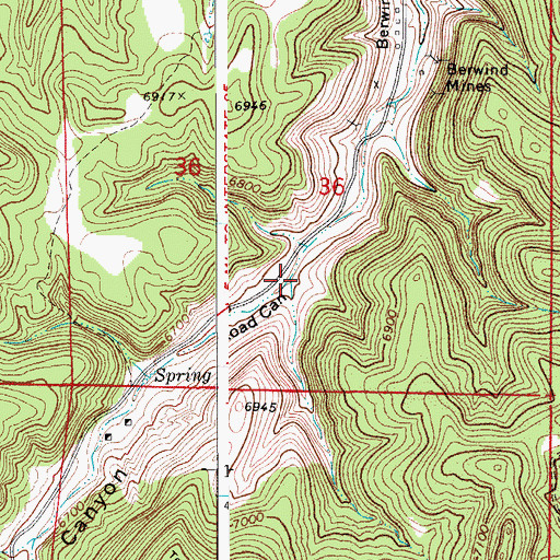 Topographic Map of Road Canyon, CO