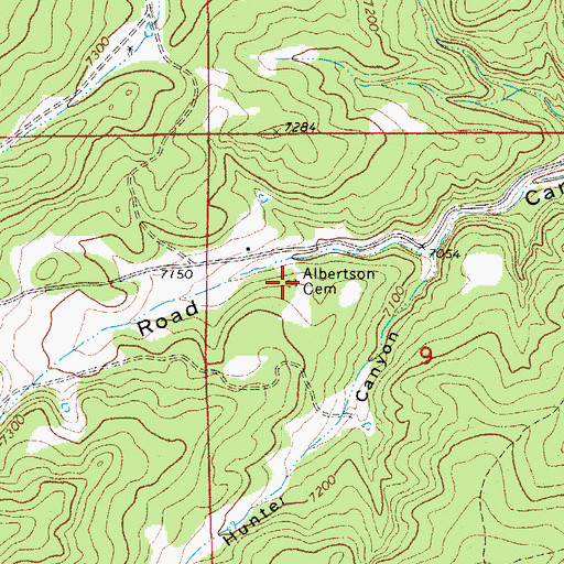 Topographic Map of Albertson Cemetery, CO