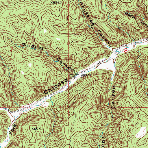 Topographic Map of Wildcat Canyon, CO