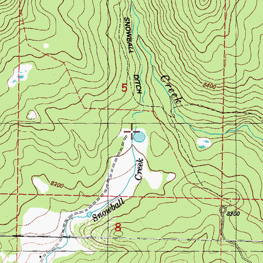 Topographic Map of Snowball Ditch, CO