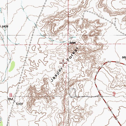 Topographic Map of Jasper Forest, AZ