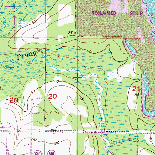 Topographic Map of Alafia River State Park, FL