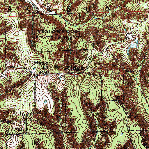 Topographic Map of Lanam Ridge Cemetery, IN