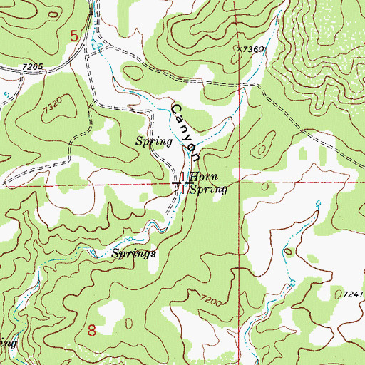 Topographic Map of Horn Spring, CO
