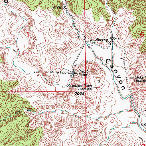 Topographic Map of Pricco Mine, CO