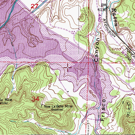Topographic Map of Williams Mine, CO