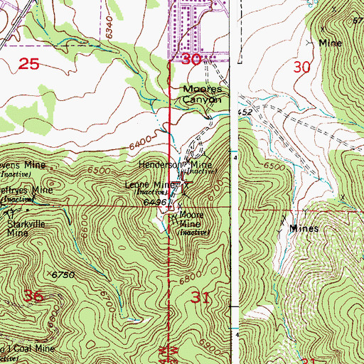 Topographic Map of Leone Mine, CO