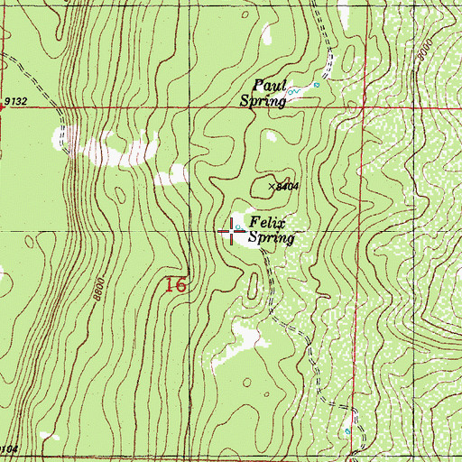 Topographic Map of Felix Spring, CO