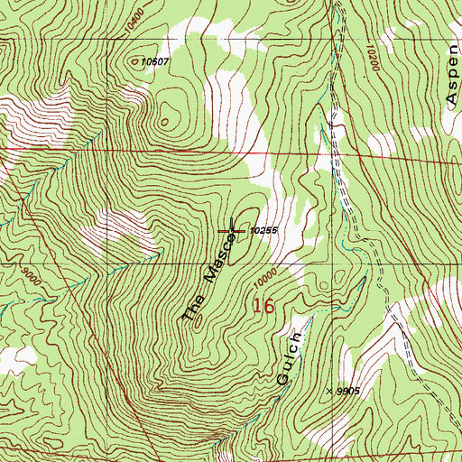 Topographic Map of The Mascot, CO