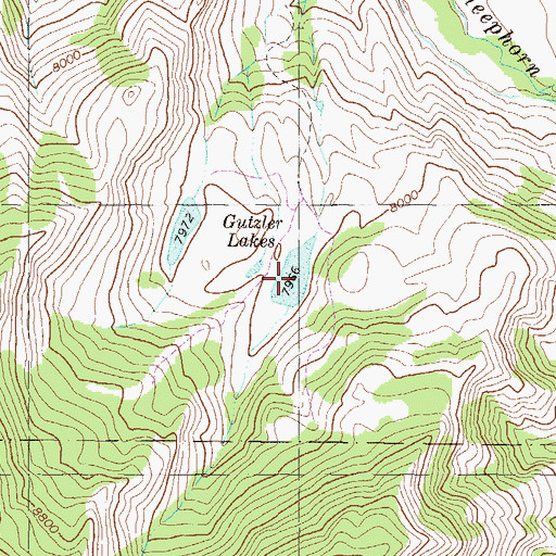 Topographic Map of Gutzler Lakes, CO