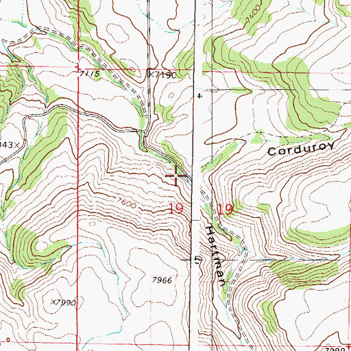 Topographic Map of Harrman Gulch, CO