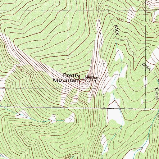 Topographic Map of Petty Mountain, CO