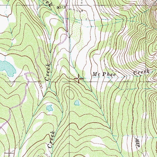 Topographic Map of McPhee Creek, CO