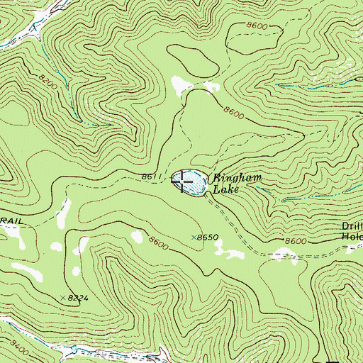 Topographic Map of Bingham Lake, CO