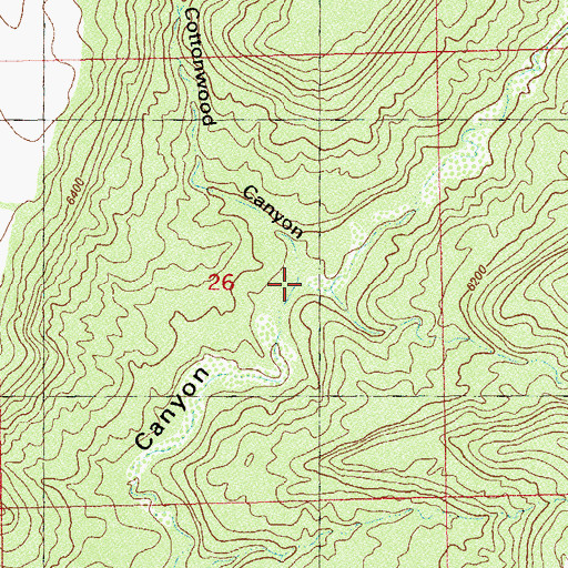 Topographic Map of Cottonwood Canyon, CO