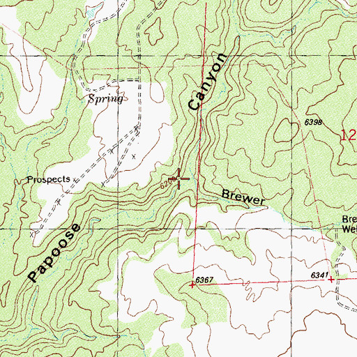 Topographic Map of Brewer Canyon, CO