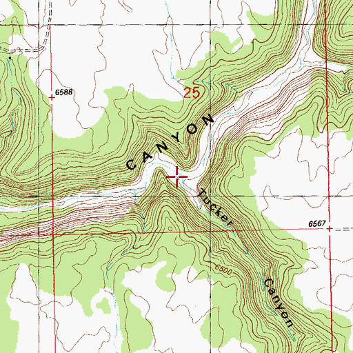 Topographic Map of Tucker Canyon, CO