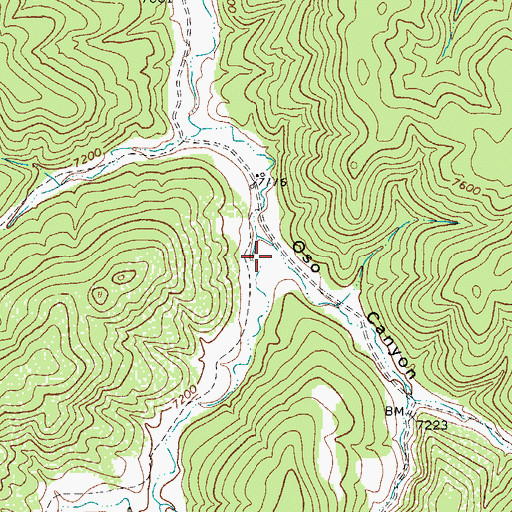 Topographic Map of Oso Canyon, CO