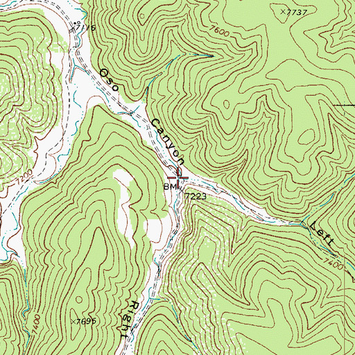 Topographic Map of Left Hand Fork Oso Canyon, CO