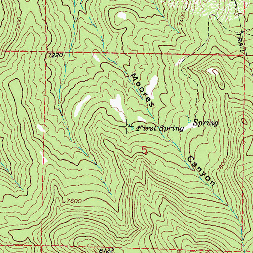 Topographic Map of First Spring, CO