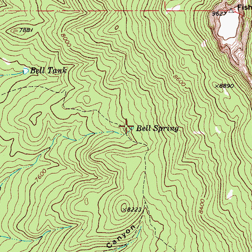 Topographic Map of Bell Spring, CO