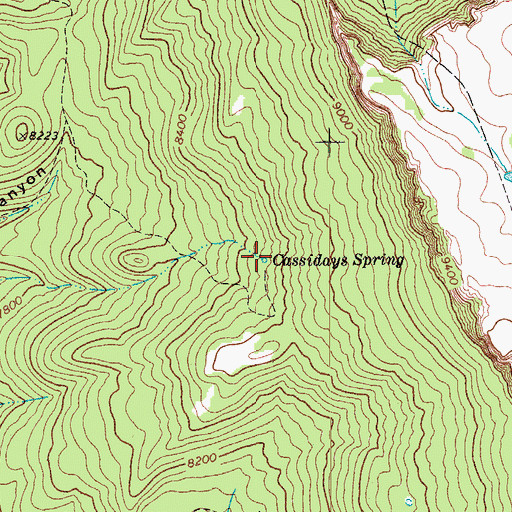 Topographic Map of Cassidays Spring, CO
