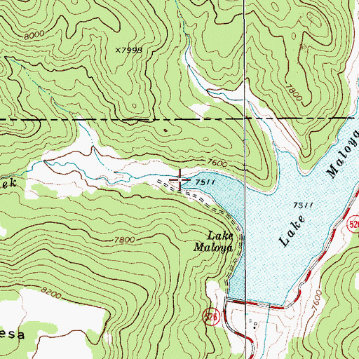 Topographic Map of Segerstrom Creek, NM