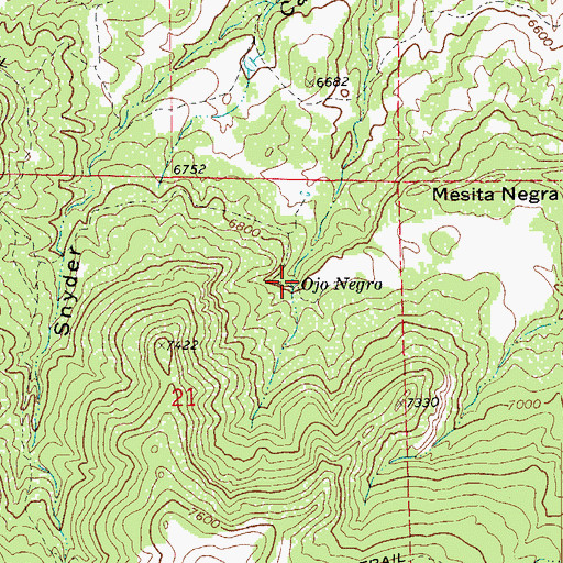 Topographic Map of Ojo Negro, CO